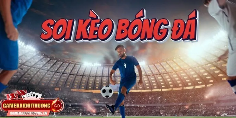 loi khuyen cho nguoi choi tham gia ca cuoc Lời khuyên cho người chơi tham gia cá cược