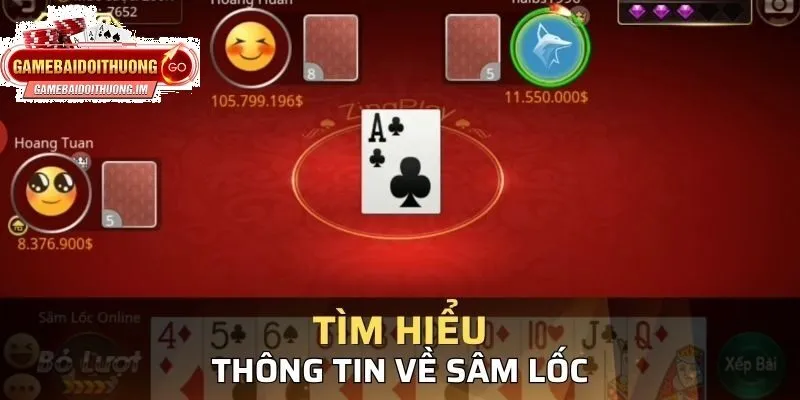 Tổng quan về Sâm