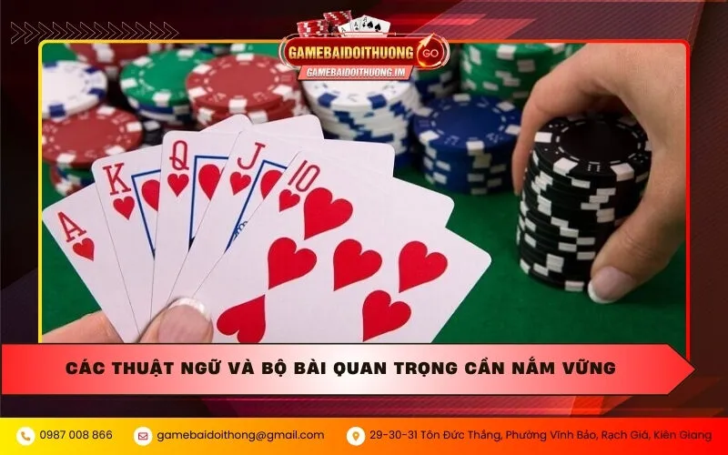 Các thuật ngữ và bộ bài quan trọng cần nắm vững